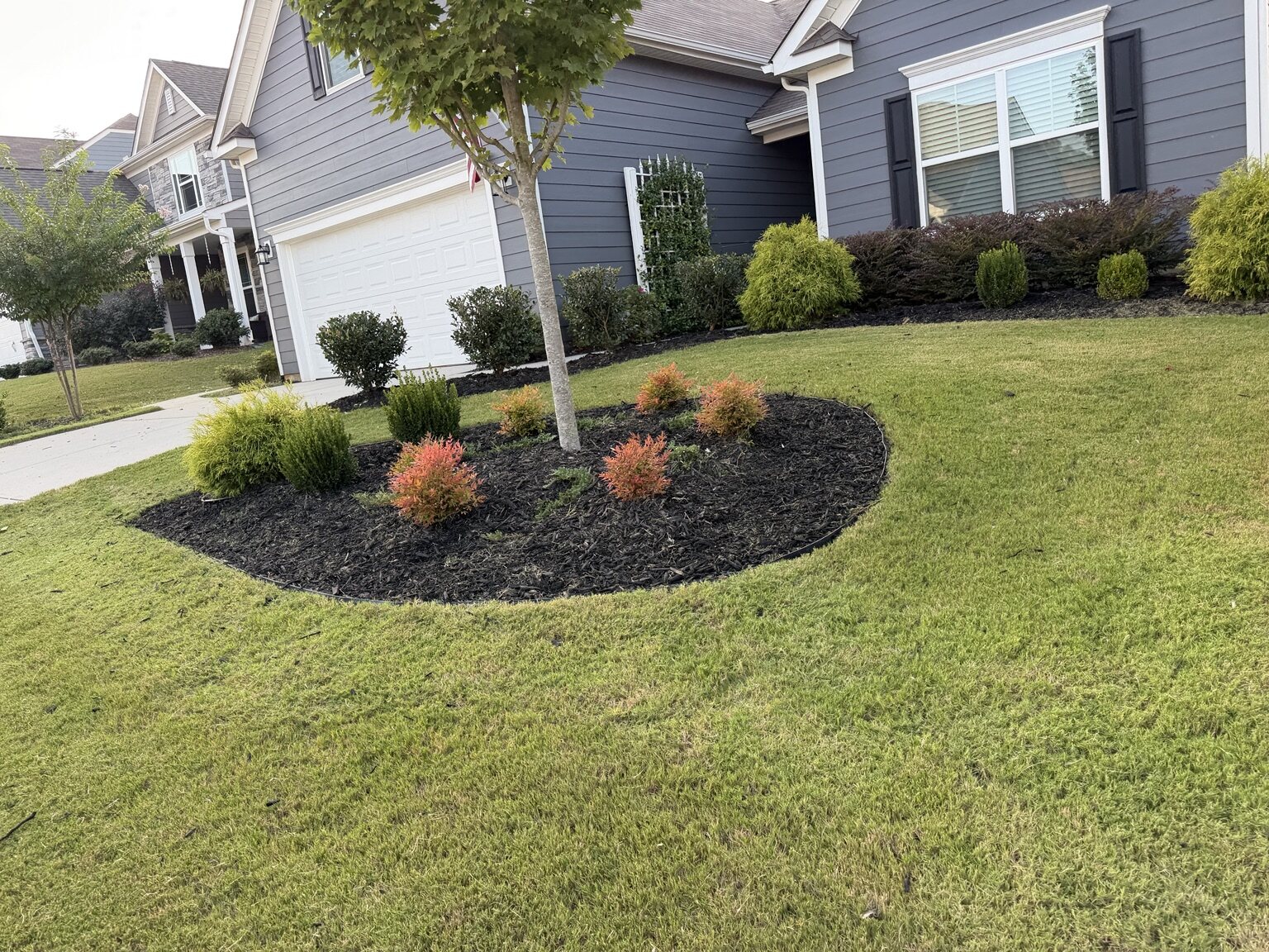Trimmed front lawn with freshly mulched planting beds